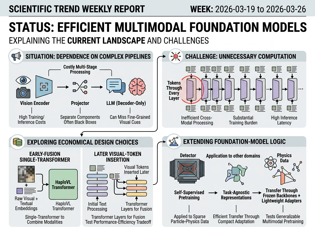 Efficient Multimodal Foundation Models situation infographic