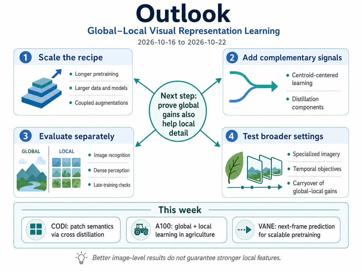 Global–Local Visual Representation Learning outlook infographic