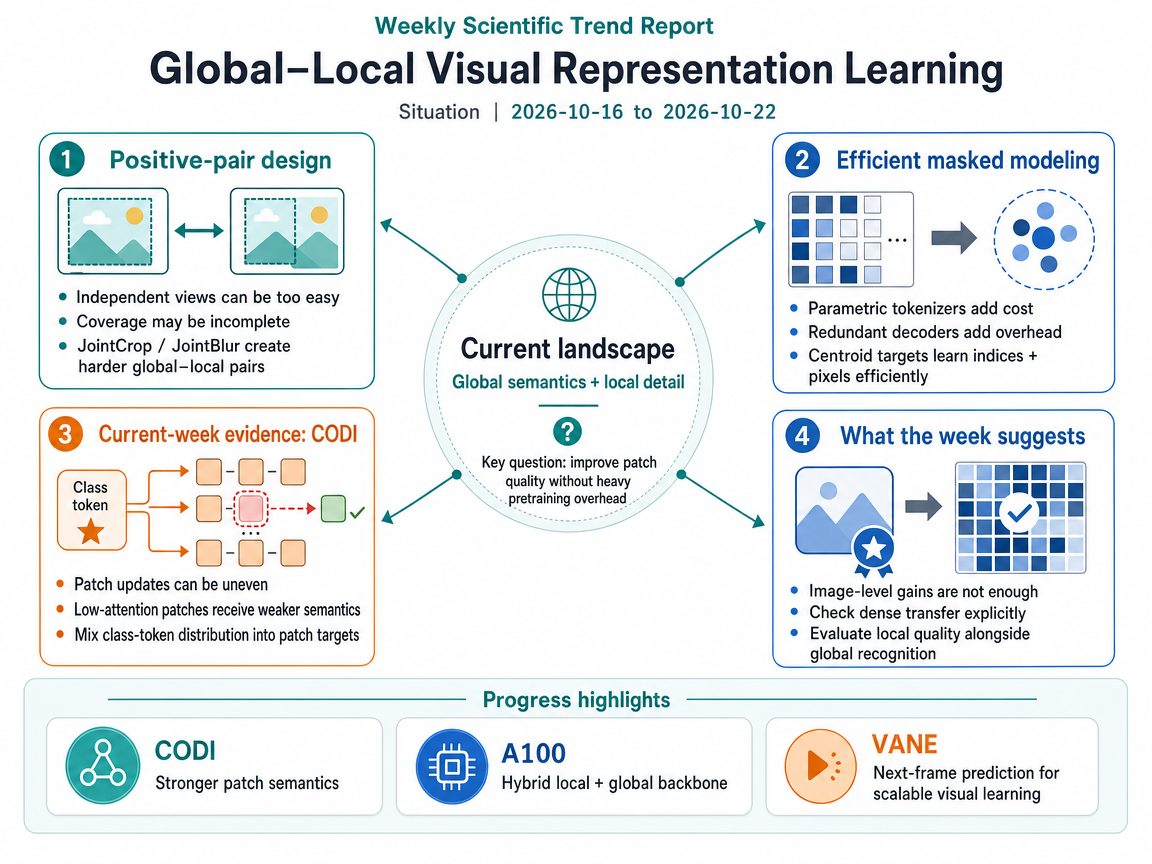 Global–Local Visual Representation Learning situation infographic